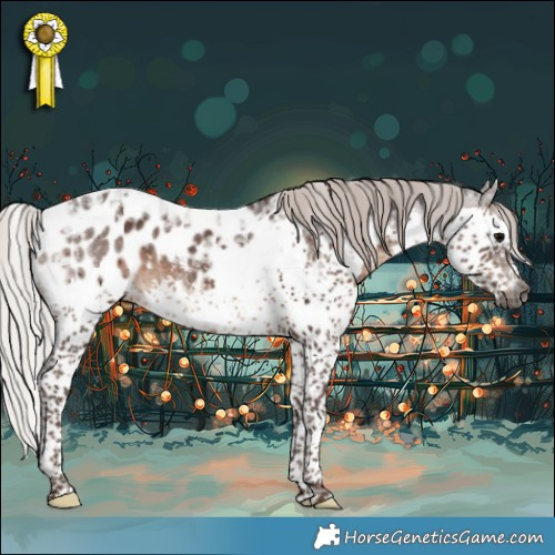 Horse Color:Gray Silver Black Splash Tobiano Appaloosa