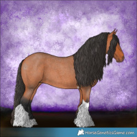 Horse Color:Bay Roan Tobiano