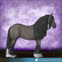 Horse Color:Grullo Tobiano 