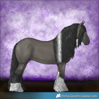 Horse Color:Grullo Tobiano