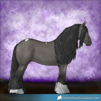 Horse Color:Grullo Tobiano
