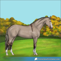 Horse Color:Liver Red Dun Mushroom 