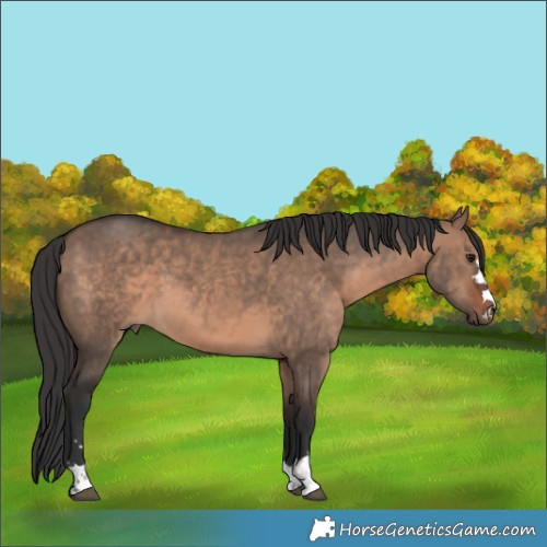 Horse Color:Brown Dun Mushroom 
