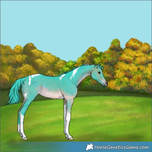 Horse Color:Watercolor Brown Tobiano Rabicano 