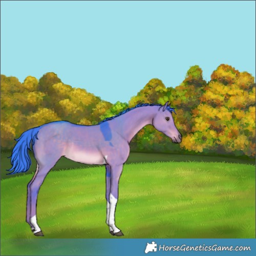 Horse Color:Watercolor Liver Red Dun Tobiano Rabicano 