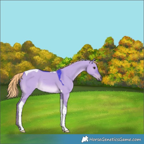 Horse Color:Watercolor Liver Red Dun Tobiano Rabicano 