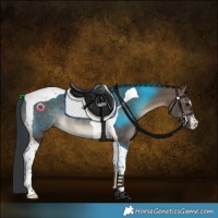 Horse Color:Brown Dun Tobiano Rabicano