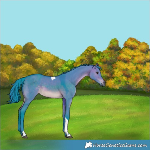 Horse Color:Watercolor Brown Dun Tobiano Rabicano 
