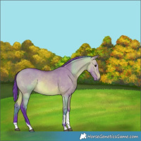 Horse Color:Watercolor Bay Dun Tobiano Rabicano