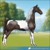 Horse Color:Liver Chestnut Tobiano 