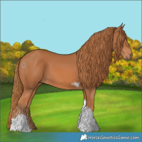 Horse Color:Chestnut Tobiano