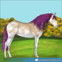 Horse Color:Painted Sable Cream Champagne Splash