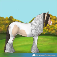 Horse Color:Bay Dun Tobiano