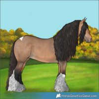 Horse Color:Bay Dun Tobiano