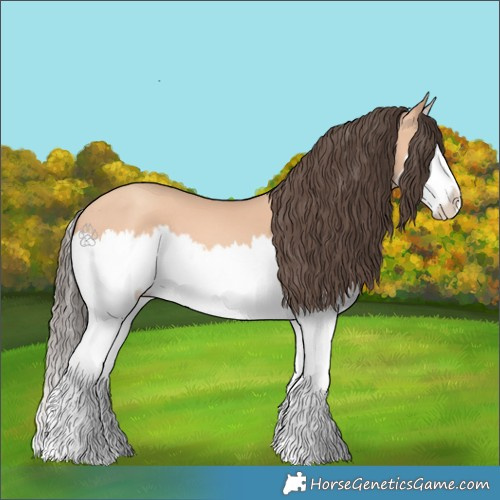 Horse Color:Amber Champagne Splash
