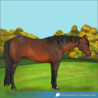 Horse Color:Brown 