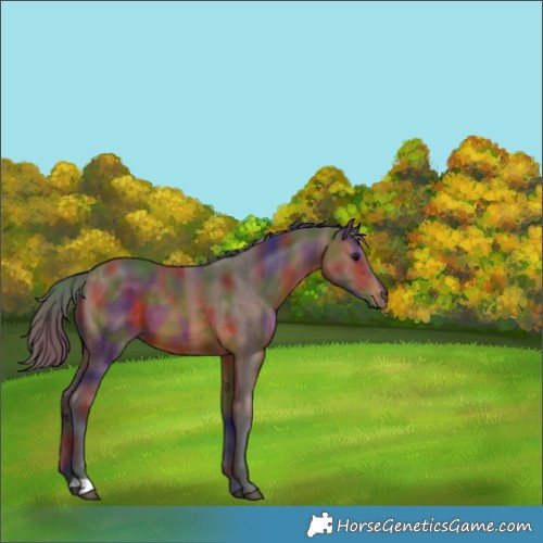 Horse Color:Nacre Brown 