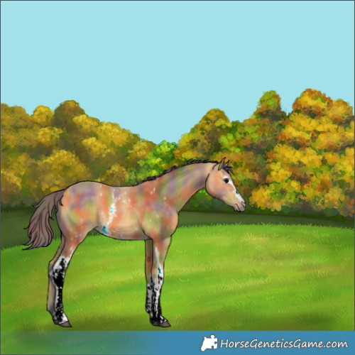 Horse Color:Nacre White Spotted Buckskin 