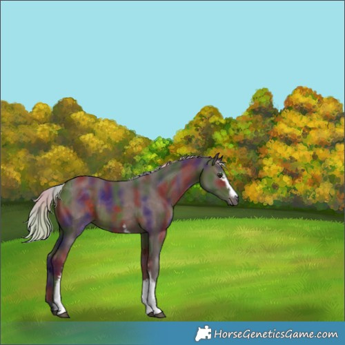Horse Color:Nacre White Spotted Silver Brown 