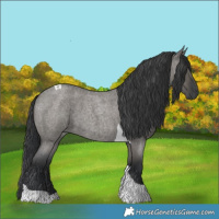 Horse Color:Grullo Roan Tobiano
