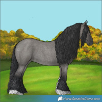 Horse Color:Grullo Roan Tobiano