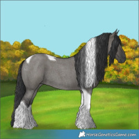 Horse Color:Grullo Roan Tobiano