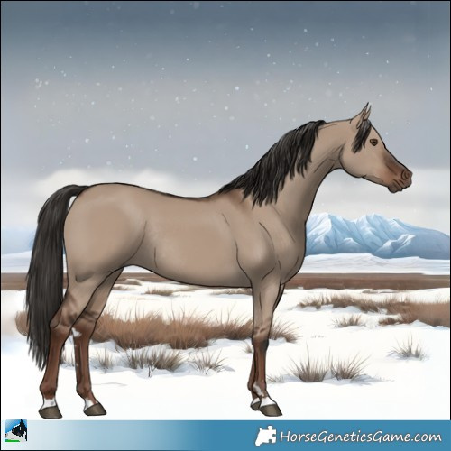 Horse Color:Liver Red Dun Rabicano 