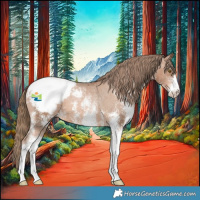 Horse Color:White Spotted Liver Chestnut Pearl Appaloosa 