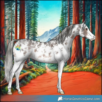 Horse Color:Liver Chestnut Mushroom Sabino 