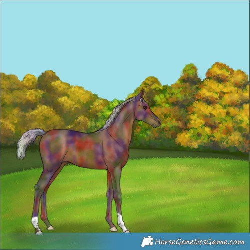 Horse Color:Nacre Silver Brown 