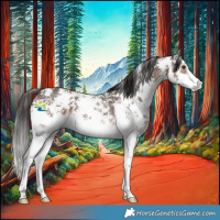 Horse Color:Liver Chestnut Sabino 