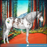 Horse Color:White Spotted Brown Sabino 