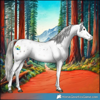 Horse Color:Liver Chestnut Mushroom Sabino 