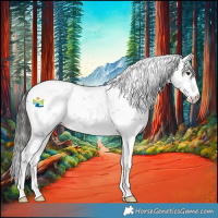 Horse Color:Liver Chestnut Sabino 