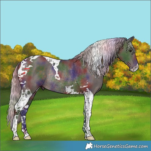 Horse Color:Nacre Silver Brown Tobiano Rabicano 