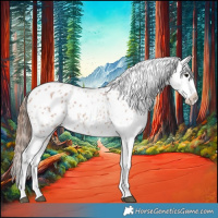 Horse Color:Bay Roan Blanket