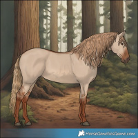Horse Color:Red Dun 
