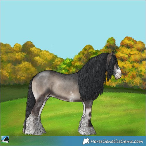 Horse Color:Blue Onyx Sabino Rabicano 