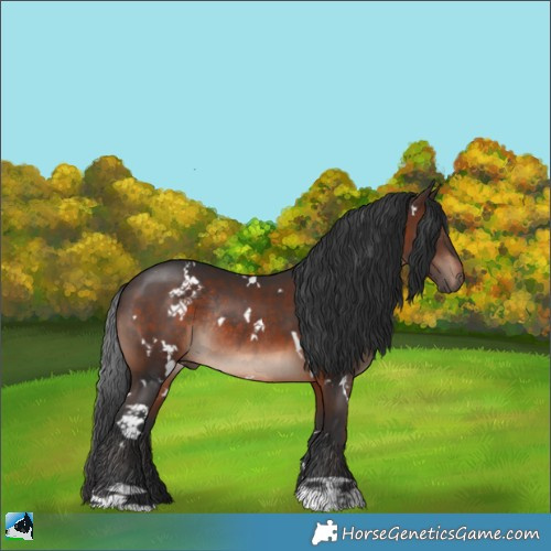 Horse Color:White Spotted Brown Mushroom Rabicano 