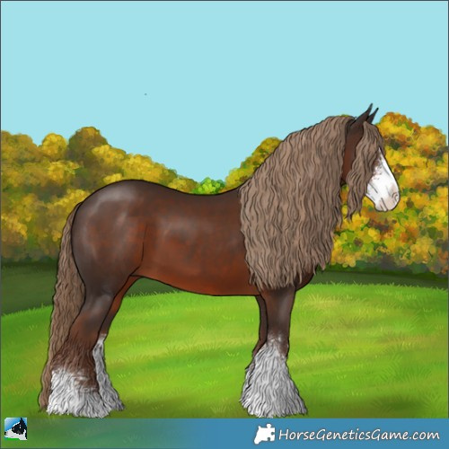 Horse Color:Liver Chestnut Sabino 