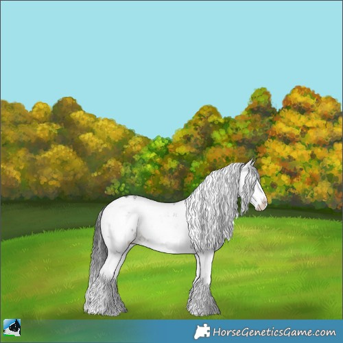 Horse Color:Brown Sabino 
