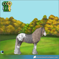 Horse Color:Liver Chestnut Sabino Splash Blanket Rabicano 