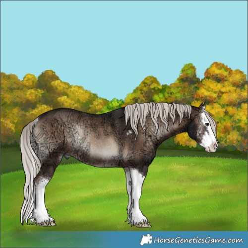 Horse Color:Liver Red Onyx Ice Mushroom Sabino Splash Rabicano 