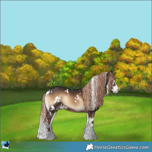 Horse Color:White Spotted Liver Red Onyx Sabino Splash 