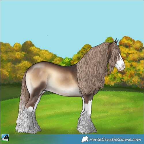 Horse Color:Liver Red Onyx Sabino Splash Rabicano 