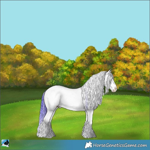 Horse Color:Watercolor Bay Onyx Sabino Splash Rabicano 