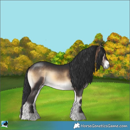 Horse Color:Brown Onyx 