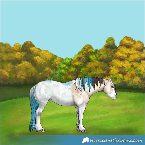 Horse Color:White Spotted Sable Champagne Onyx Sabino Rabicano 