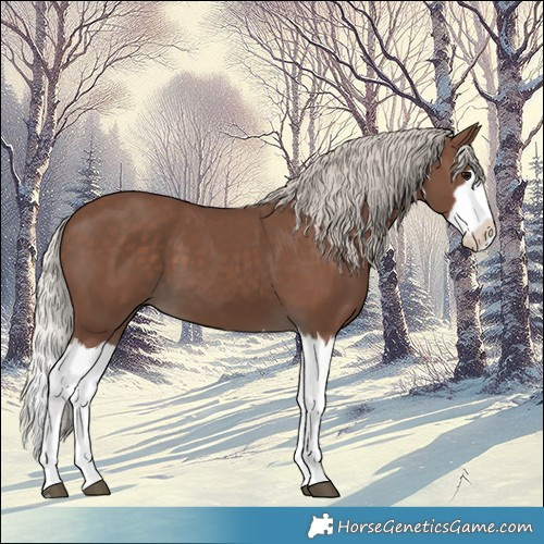 Horse Color:Silver Black Splash 