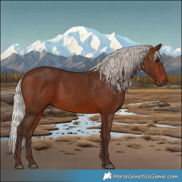 Horse Color:Silver Brown Rabicano 